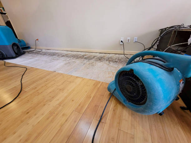 Professional Basement Flood Cleanup technician working in Blue Jay, CA